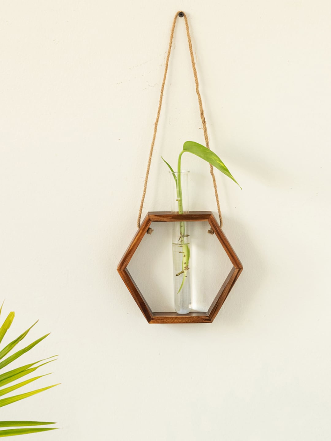 

ExclusiveLane Brown Hexagonal Glass Garden Wooden Hanging Planter