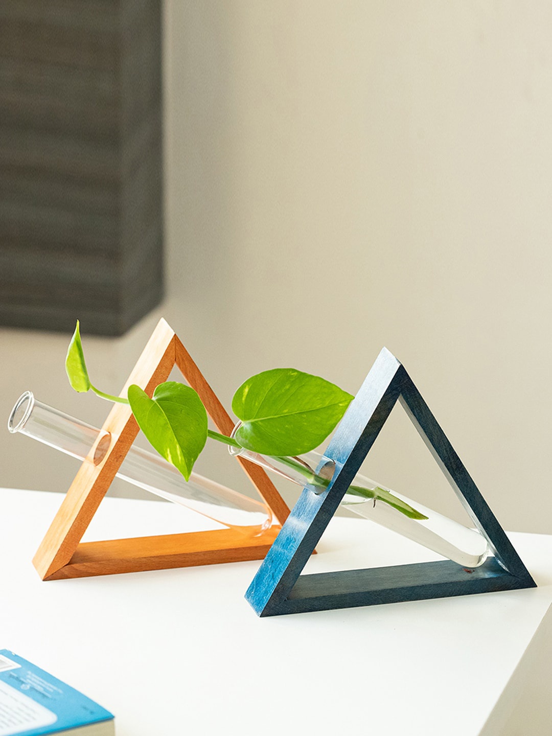 

ExclusiveLane Tilted-Triangle Glass Garden 2 Pieces Test Tube Table Planters/Vases, Orange