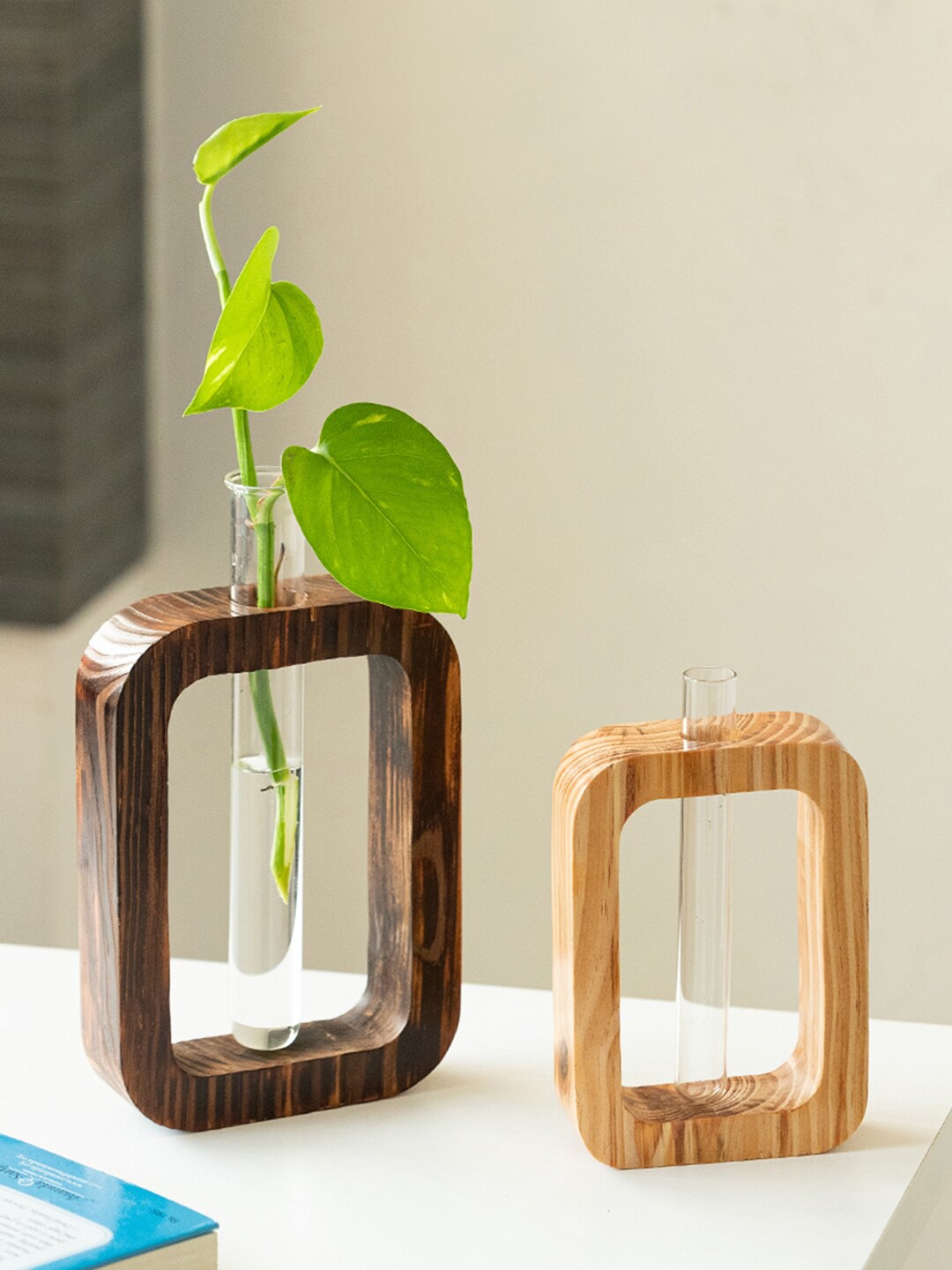 

ExclusiveLane Brown & Transparent 2 Pieces Rectangular Table Planters