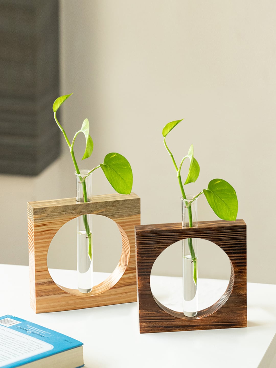 

ExclusiveLane Brown & Transparent 2-Pcs Carved Circle Glass Garden Wooden Planters