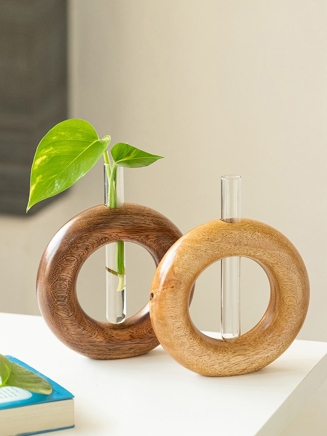 

ExclusiveLane Brown 2-Pcs Roundabout Glass Garden Test Tube Table Planters