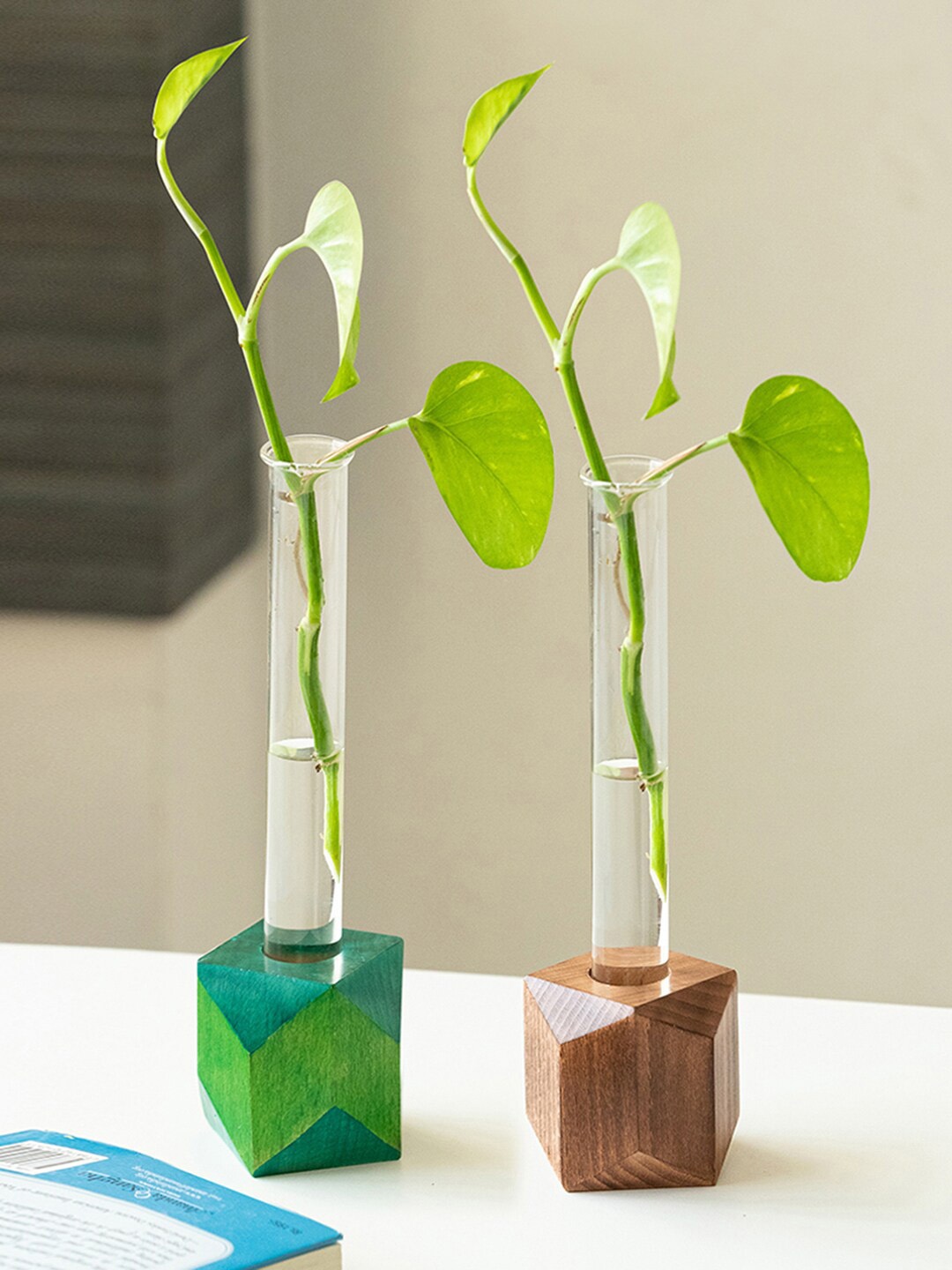 

ExclusiveLane Green And Transparent 2 Pcs Rhombus Glass Garden Test Tube Table Planters, Brown