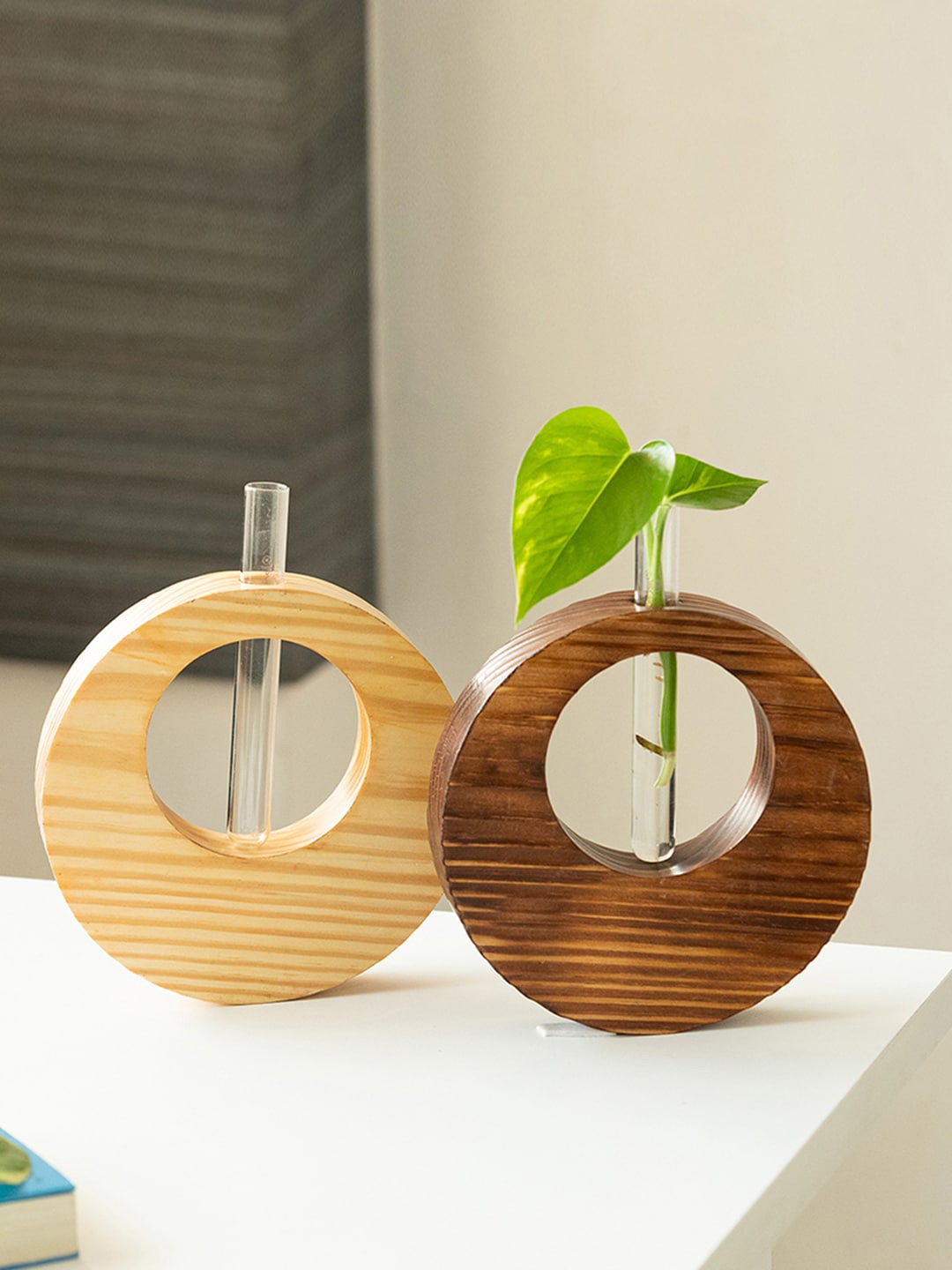 

ExclusiveLane Brown and Transparent 2-Pcs Pine Ring Glass Garden Test Tube Table Planters