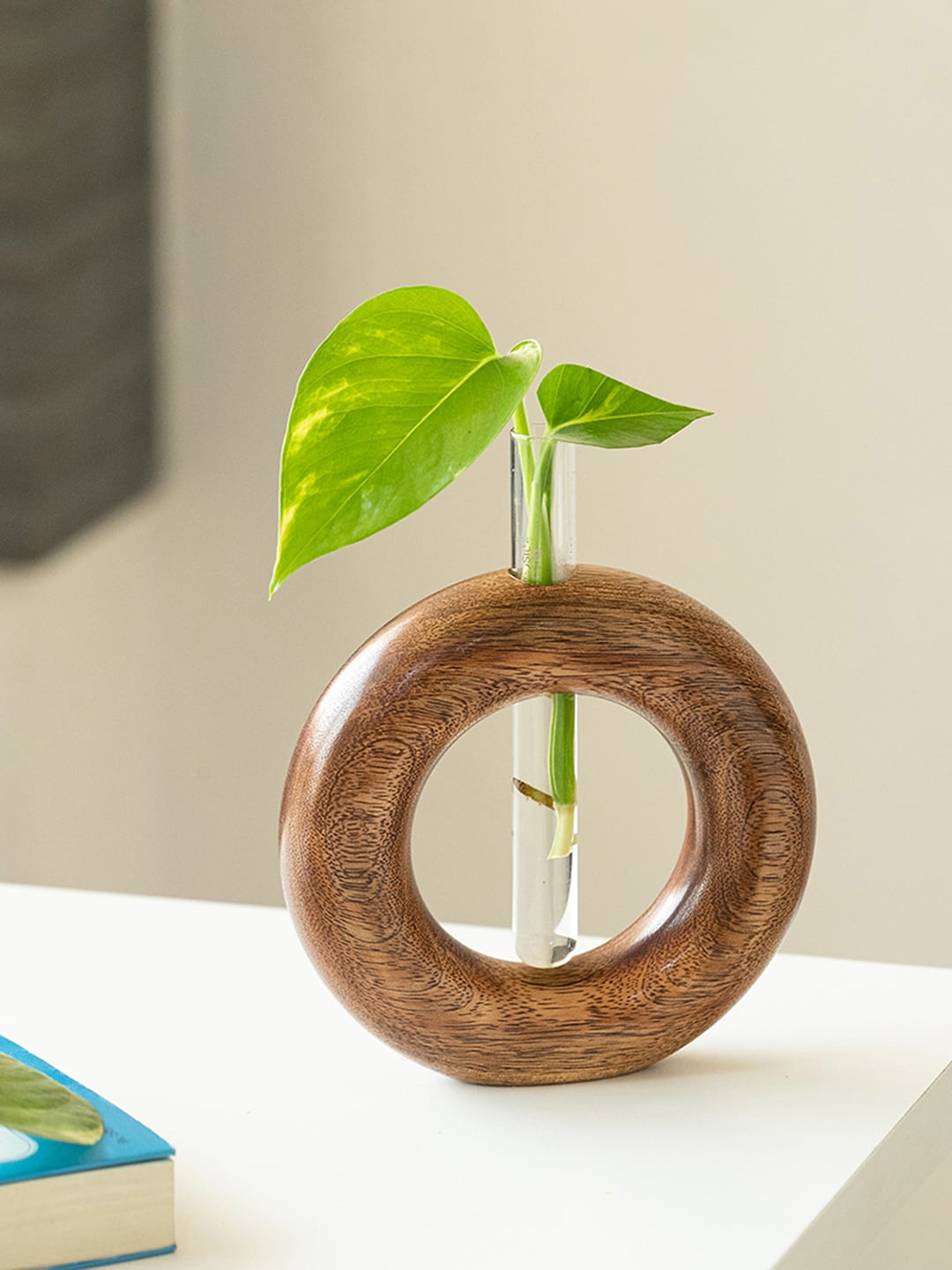 

ExclusiveLane Roundabout Glass Garden Test Tube Table Planter, Brown