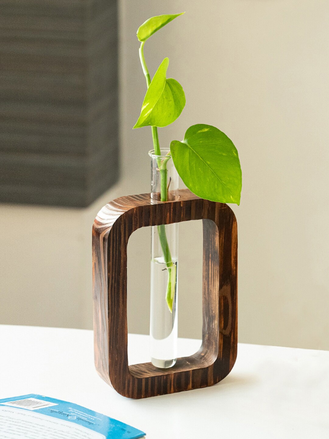 

ExclusiveLane Rectangular Glass Garden Test Tube Table Planter, Brown