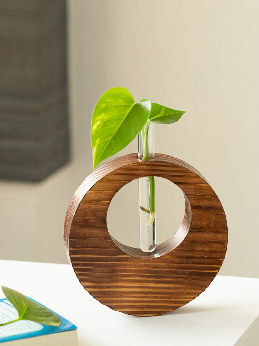 

ExclusiveLane Brown & Transparent Pine Ring Glass Garden Test Tube Table Planter