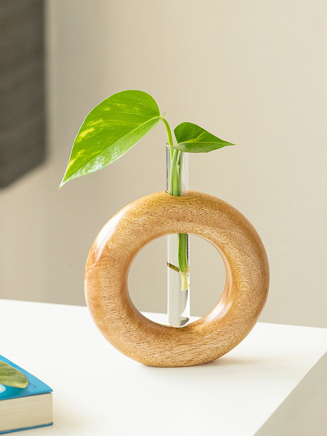 

ExclusiveLane Roundabout Glass Garden Test Tube Table Planter/Vase, Brown
