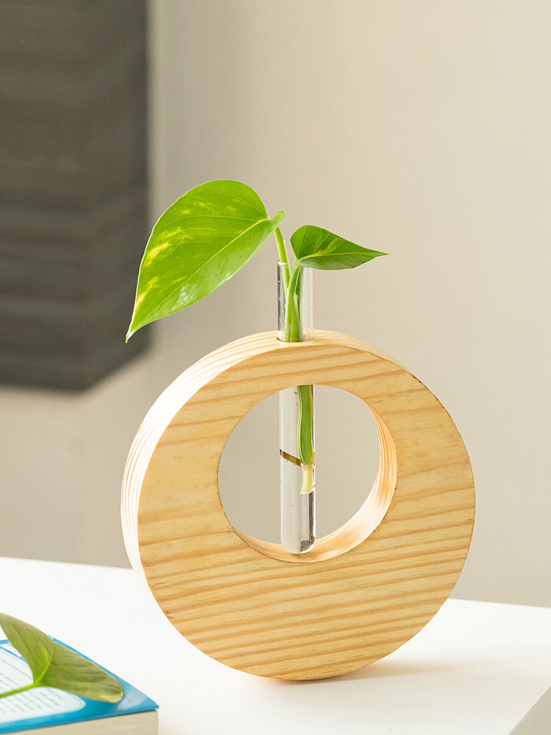 

ExclusiveLane Brown Pine Ring Glass Garden Test Tube Table Planter