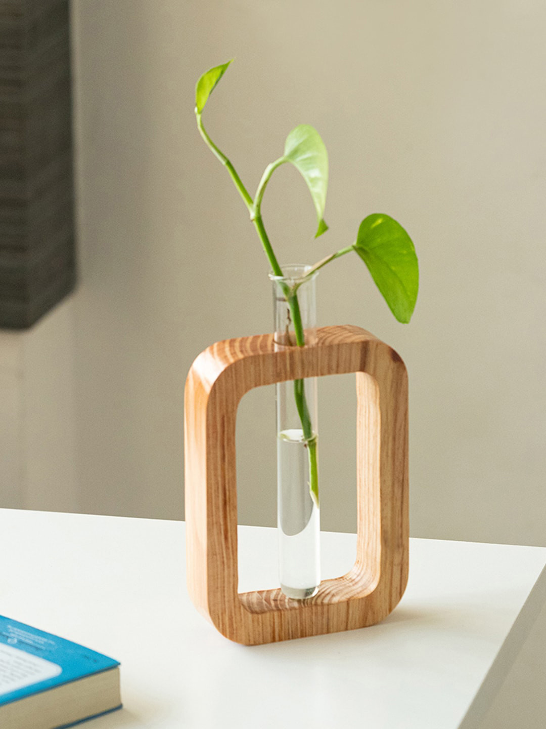 

ExclusiveLane Brown And Transparent Wooden Rectangular Table Planter