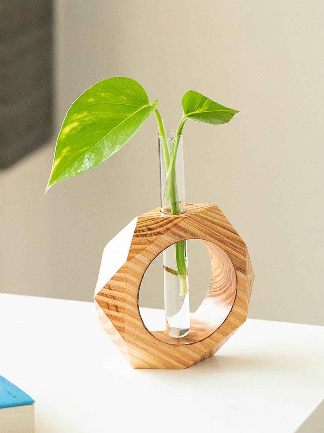 

ExclusiveLane Brown & Transparent Honeycomb Glass Garden Test Tube Table Planter