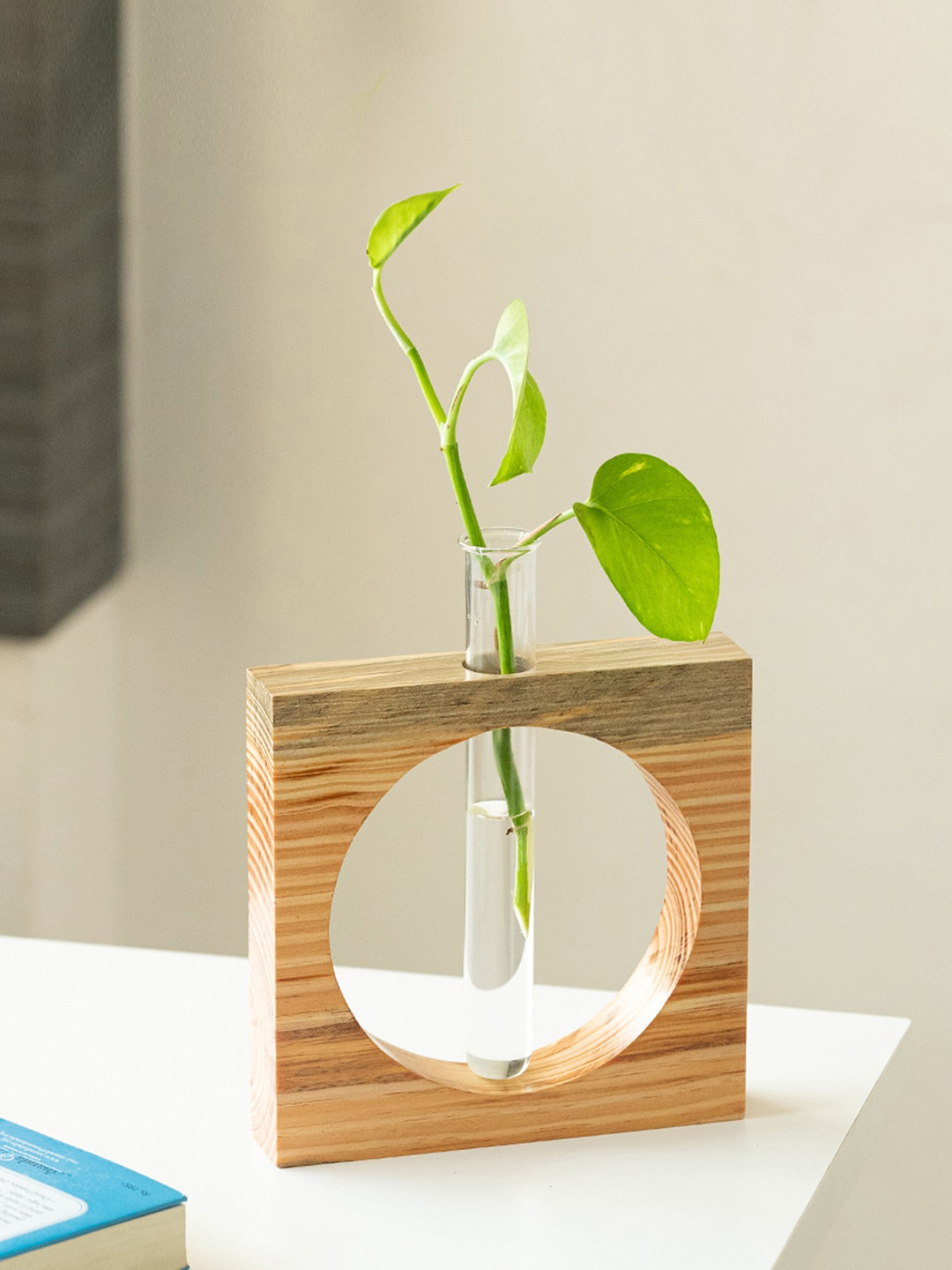 

ExclusiveLane Brown & Transparent Carved Circle Glass Garden Test Tube Table Planter