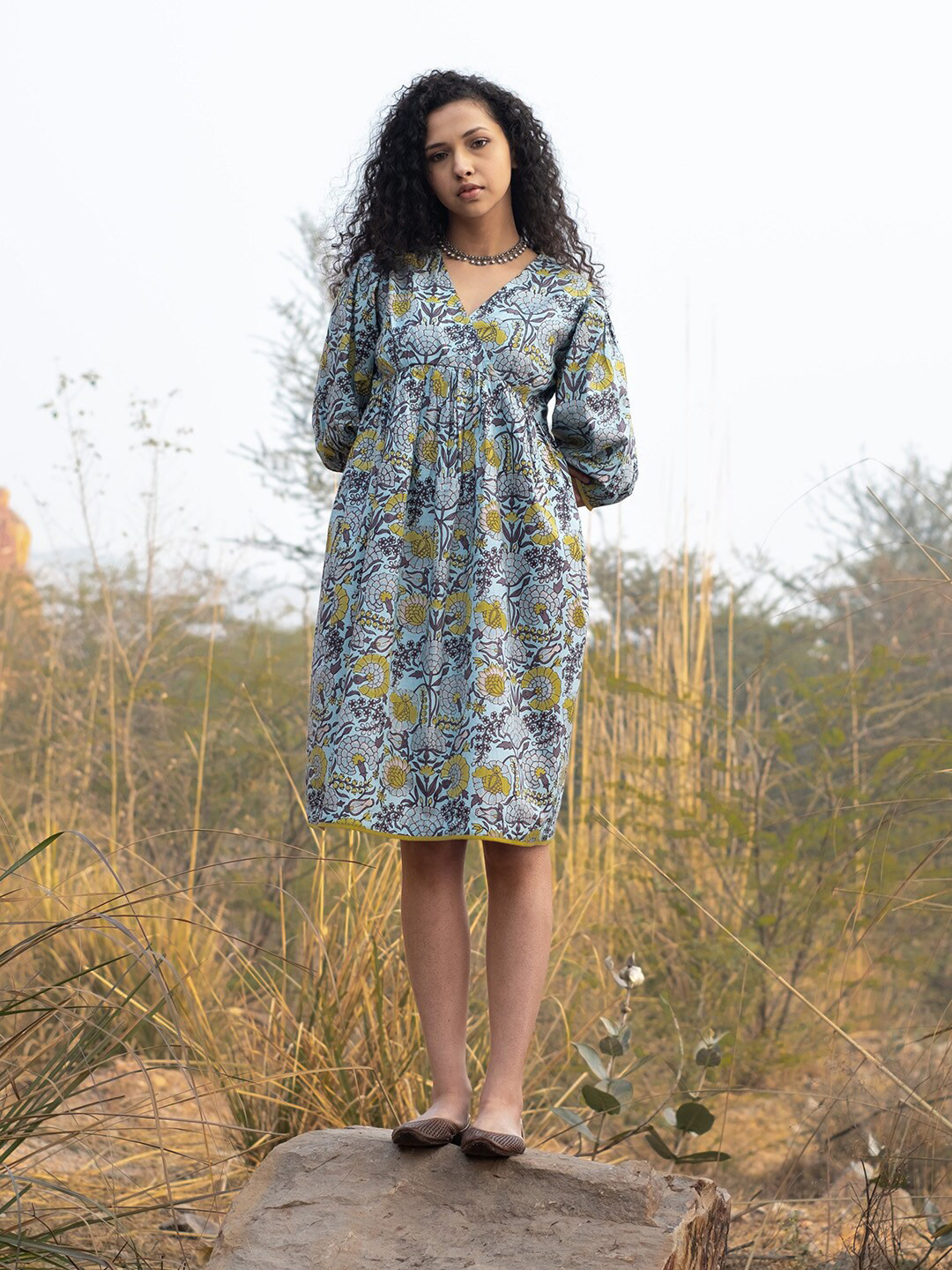 

AKISO V-Neck Floral Printed Fit & Flare Cotton Dress, Blue