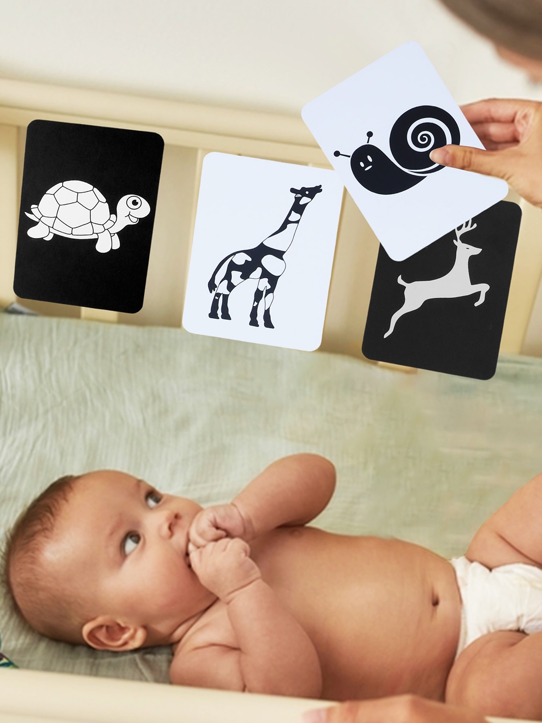 

Baby Moo Infant Kids Set Of 12 High Contrast Animal Flash Cards, Black