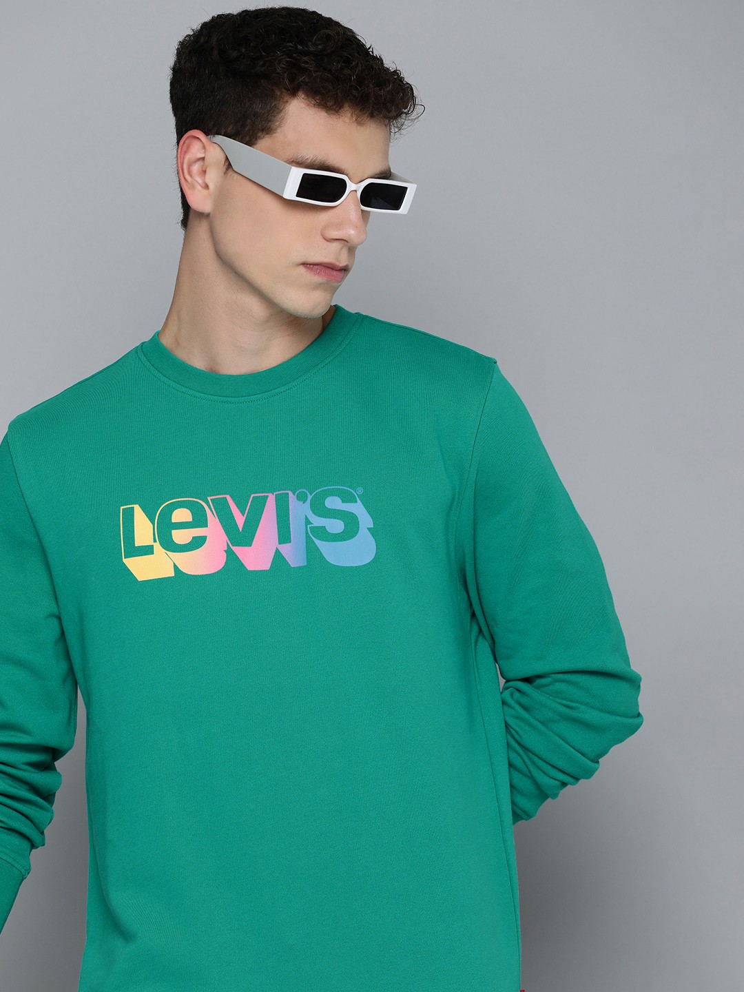 

Levis Pure Cotton Brand Logo Printed Sweatshirt, Green