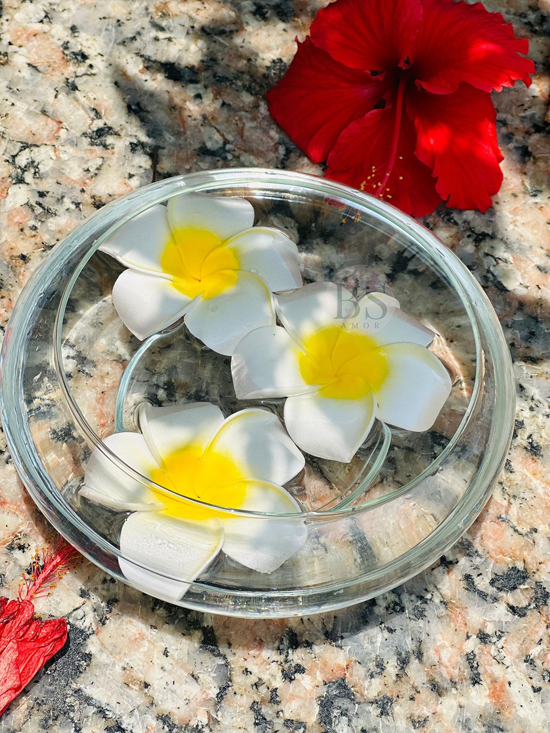 

BS AMOR Transparent Large Flower Vase With Flowers