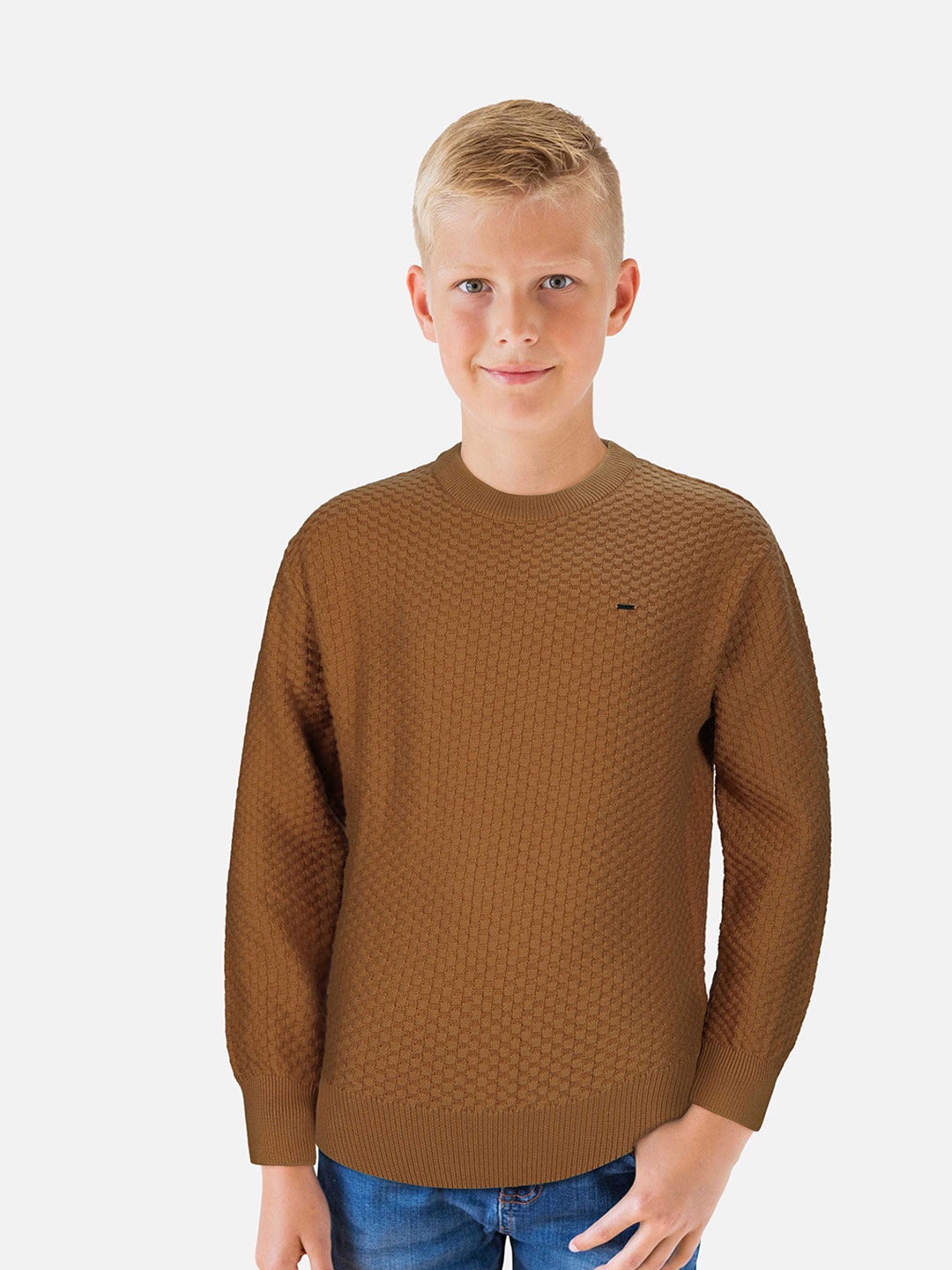 

Gini and Jony Boys Round Neck Cable Knit Pullover, Brown