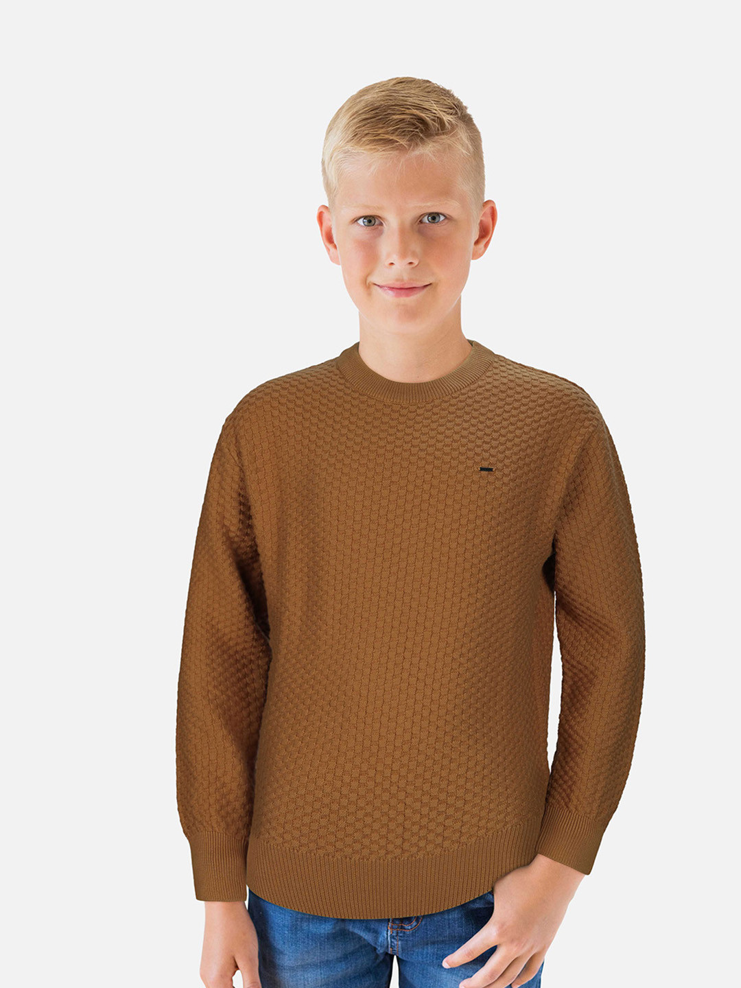 

Gini and Jony Boys Self Design Pullover, Brown