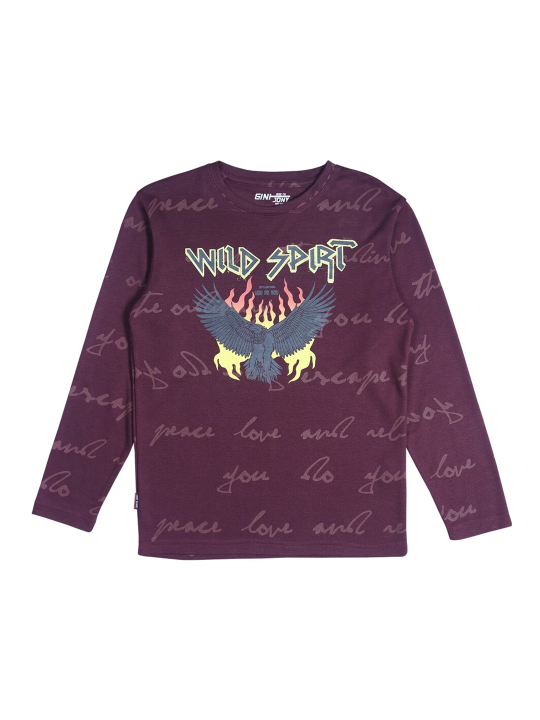 

Gini and Jony Boys Graphic Printed Pure Cotton T-Shirt, Purple