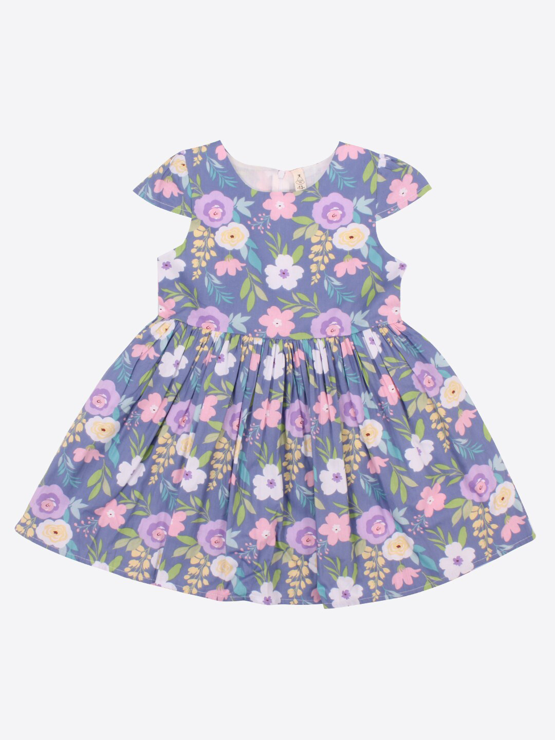 

CUTECUMBER Girls Floral Printed Fit & Flare Cotton Dress, Blue