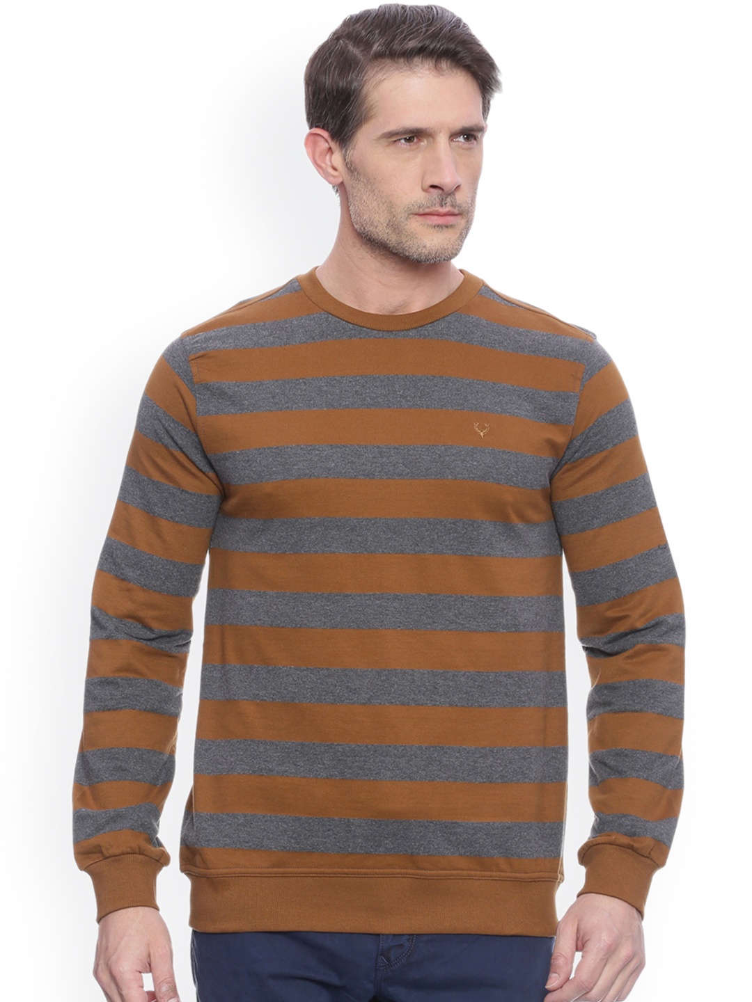 

Allen Solly Men Grey & Brown Striped Sweatshirt