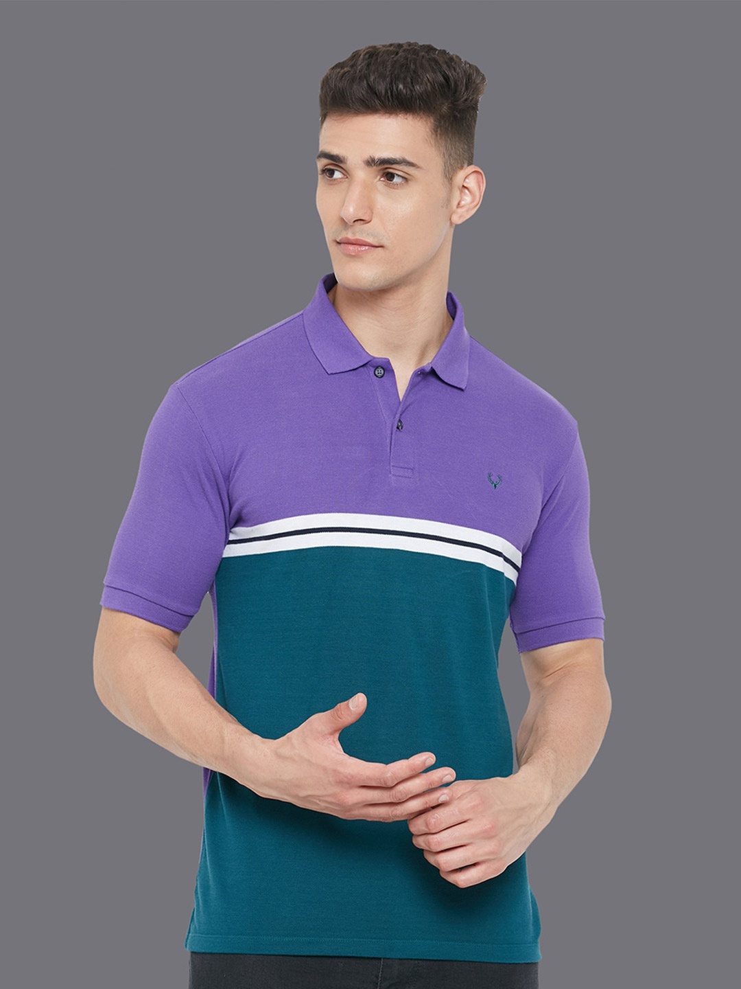 

Allen Solly Colourblocked Polo Collar Pure Cotton T-Shirt, Purple