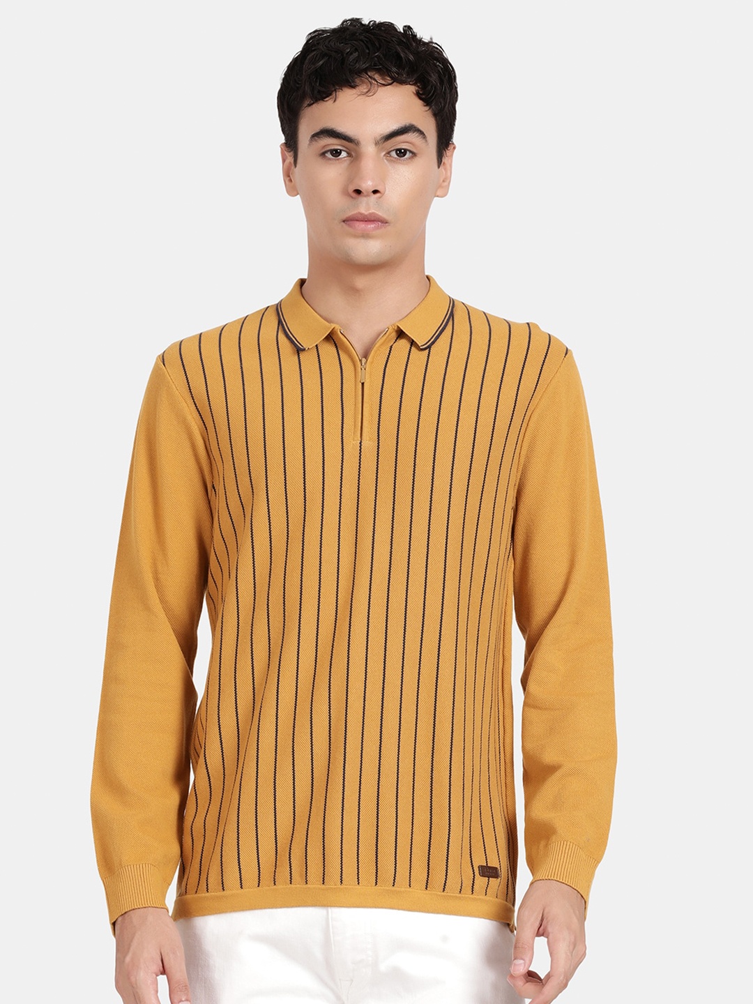 

t-base Striped Polo Collar T-shirt, Brown