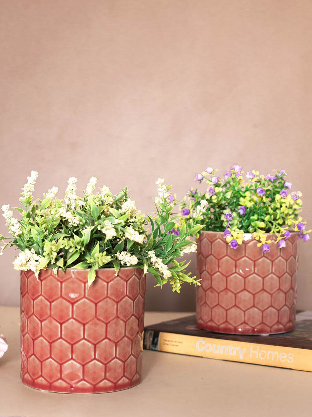 

Thedecorkart Peach & Red 2-Pieces Geometric Print Ceramic Planters