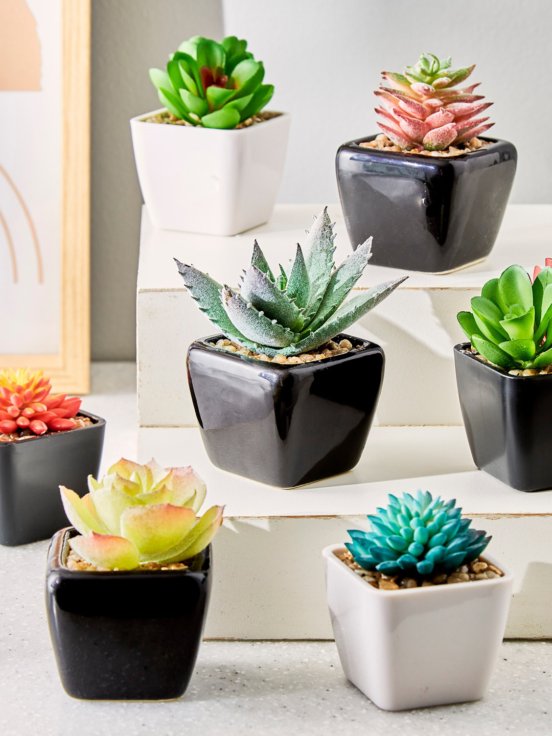 

Home Centre Green Aloe Vera With Ceramic Pot