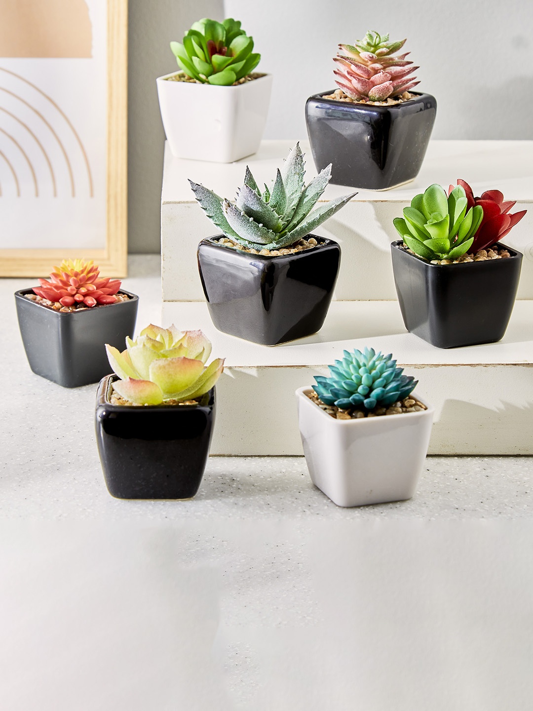 

Home Centre Green & Red Succulent With Ceramic Pot