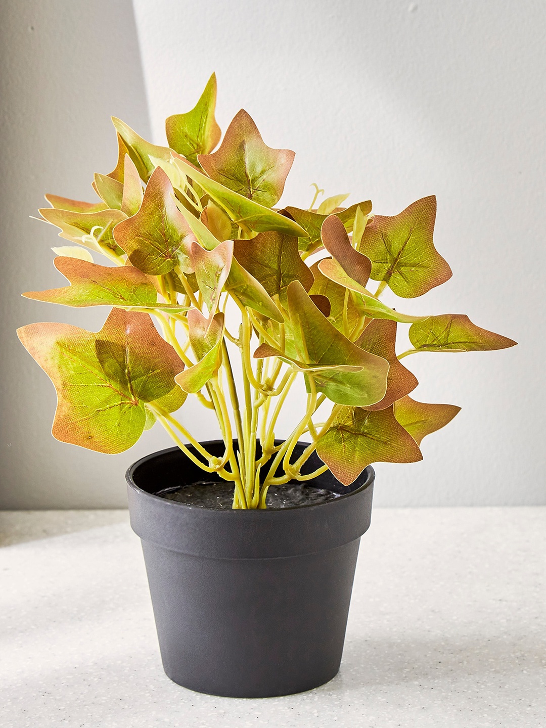 

Home Centre Green Banana Croton Plant With Ceramic Pot