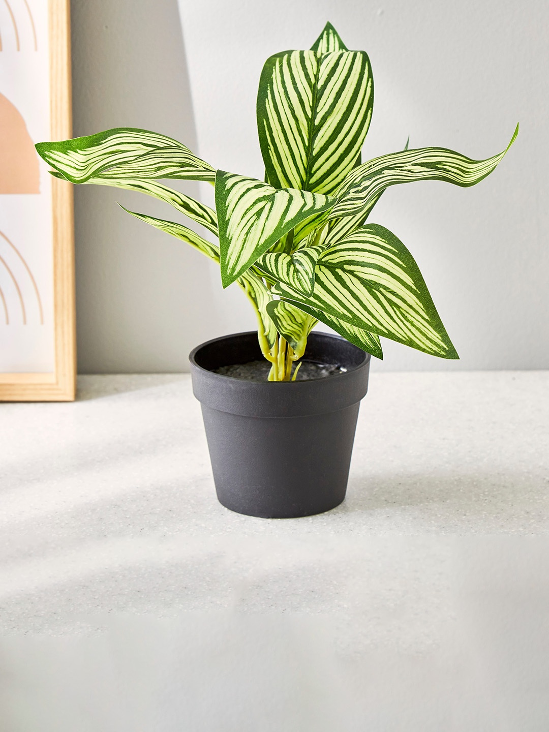 

Home Centre Green & Black Garnet Garden Croton Potted Artificial Plant