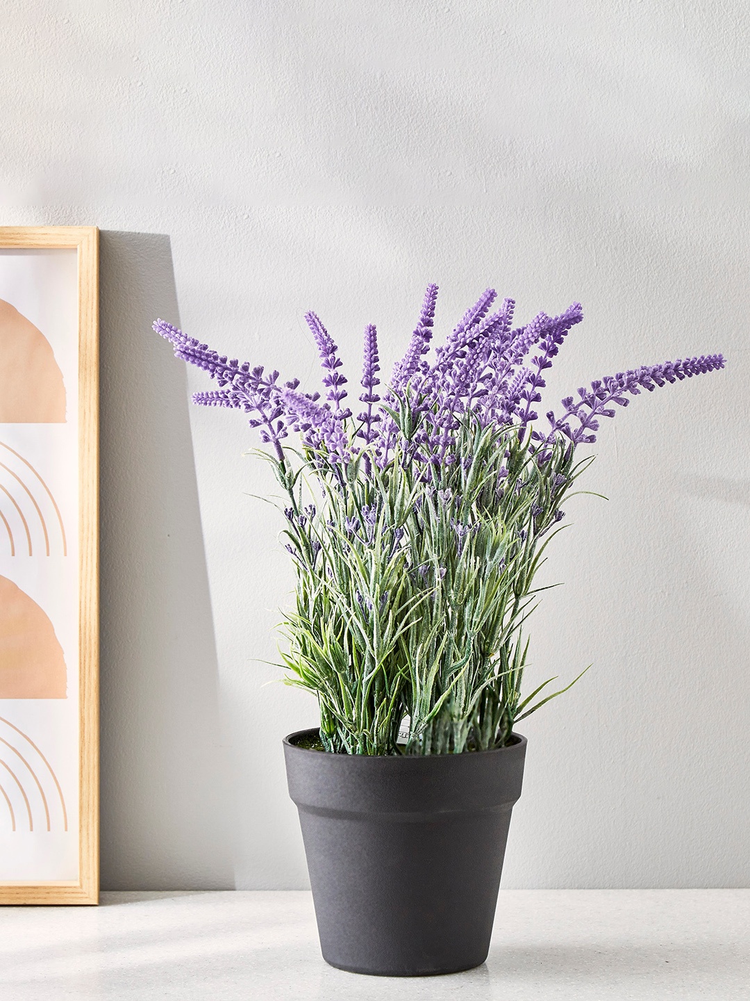 

Home Centre Purple Artificial Fern Plant in Pot