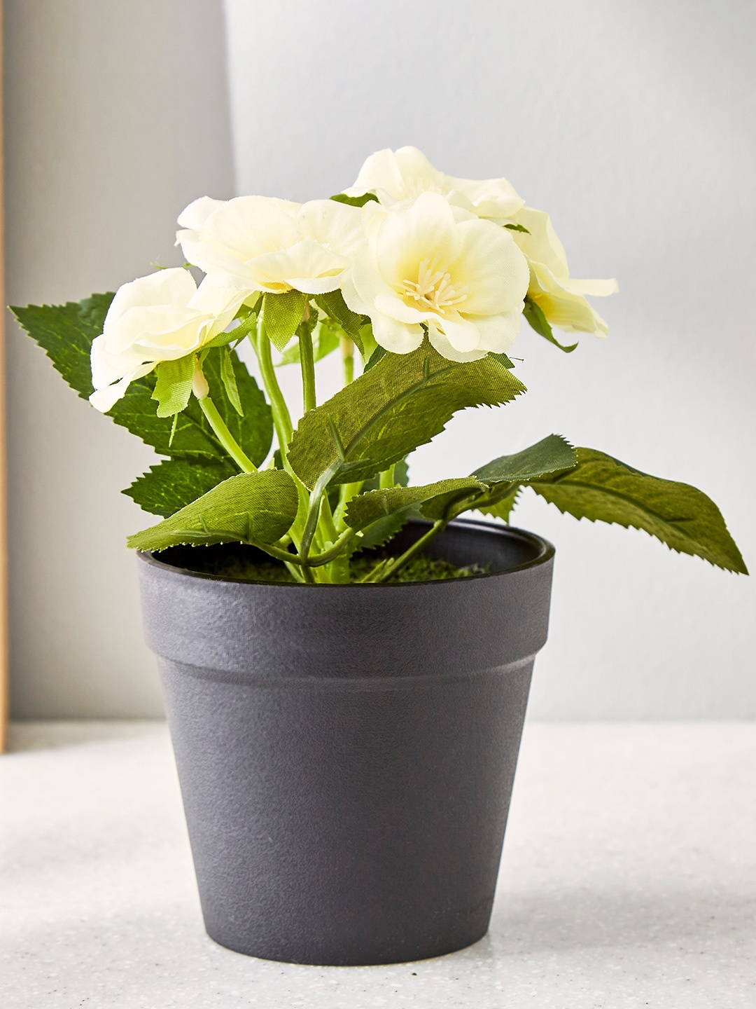 

Home Centre White & Green Blossom Flower With Ceramic Pot