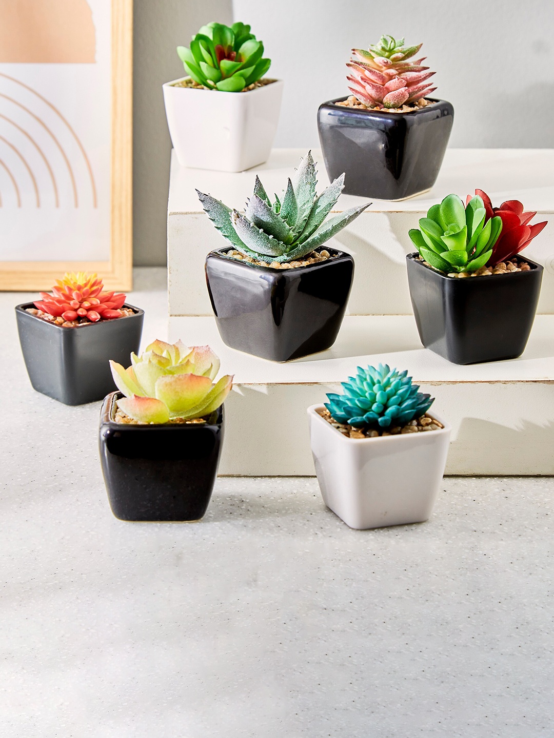 

Home Centre Green Blush Succulent Plant With Ceramic Pot