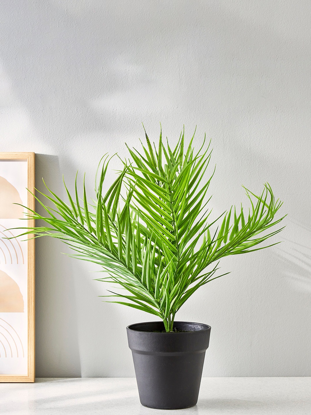 

Home Centre Green & Black Plant With Ceramic Pot