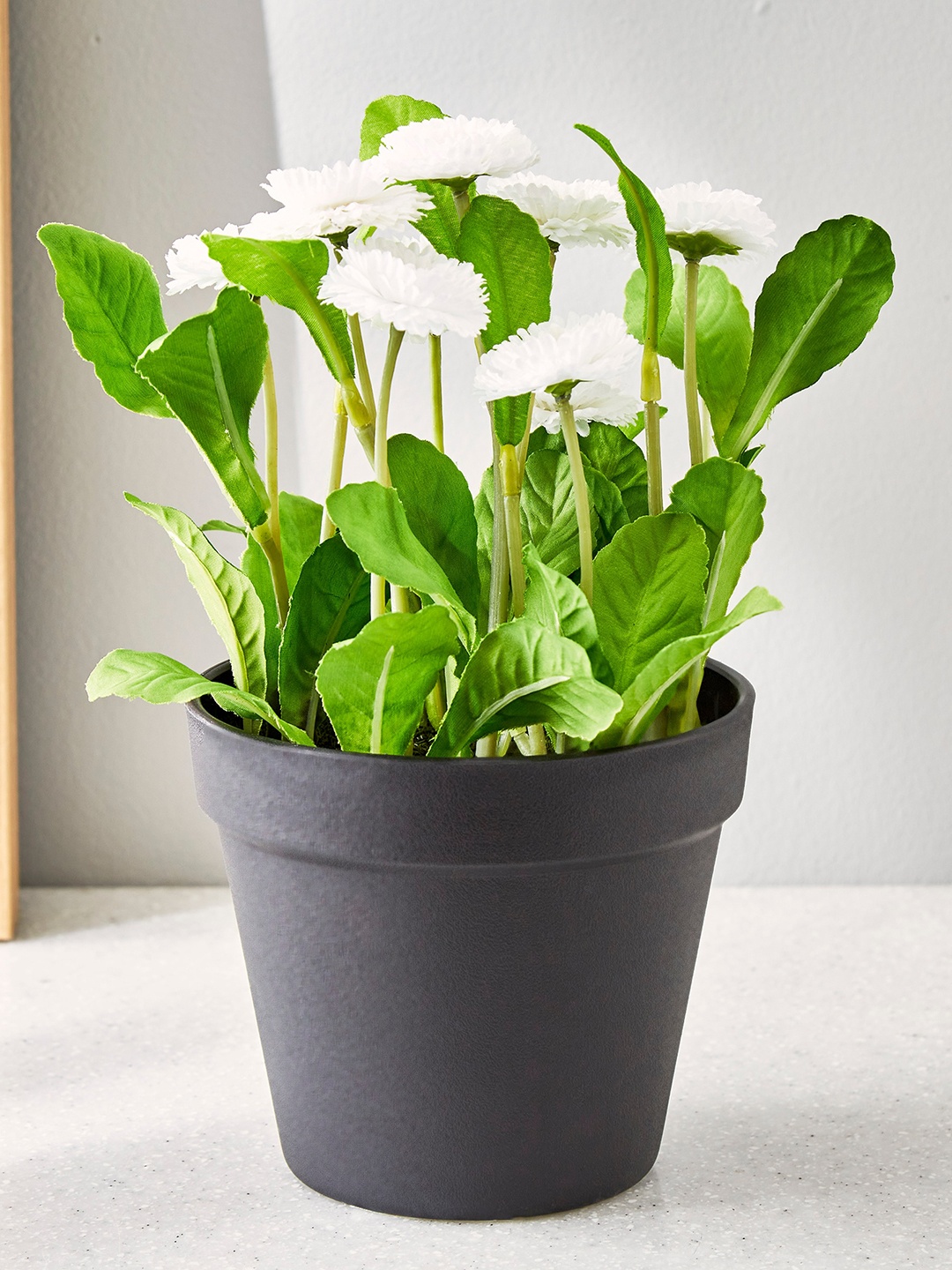 

Home Centre White & Green Artificial Flower Buds Potted Plant