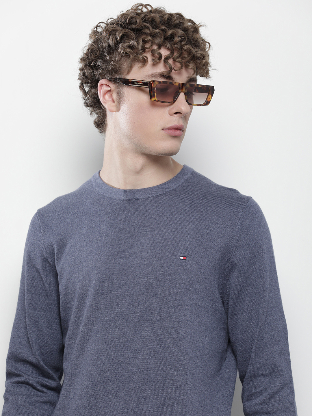 

Tommy Hilfiger Solid Round Neck Pure Cotton Sweatshirt, Blue