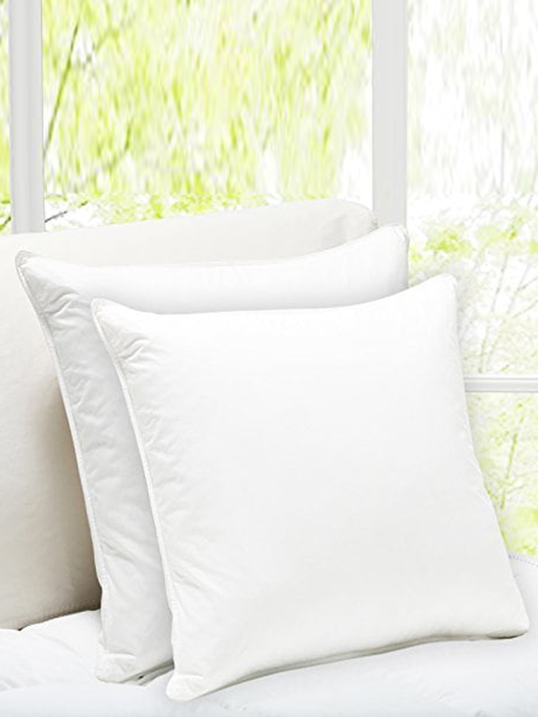 

SWHF White 2 Pieces Cotton Cushion Inserts