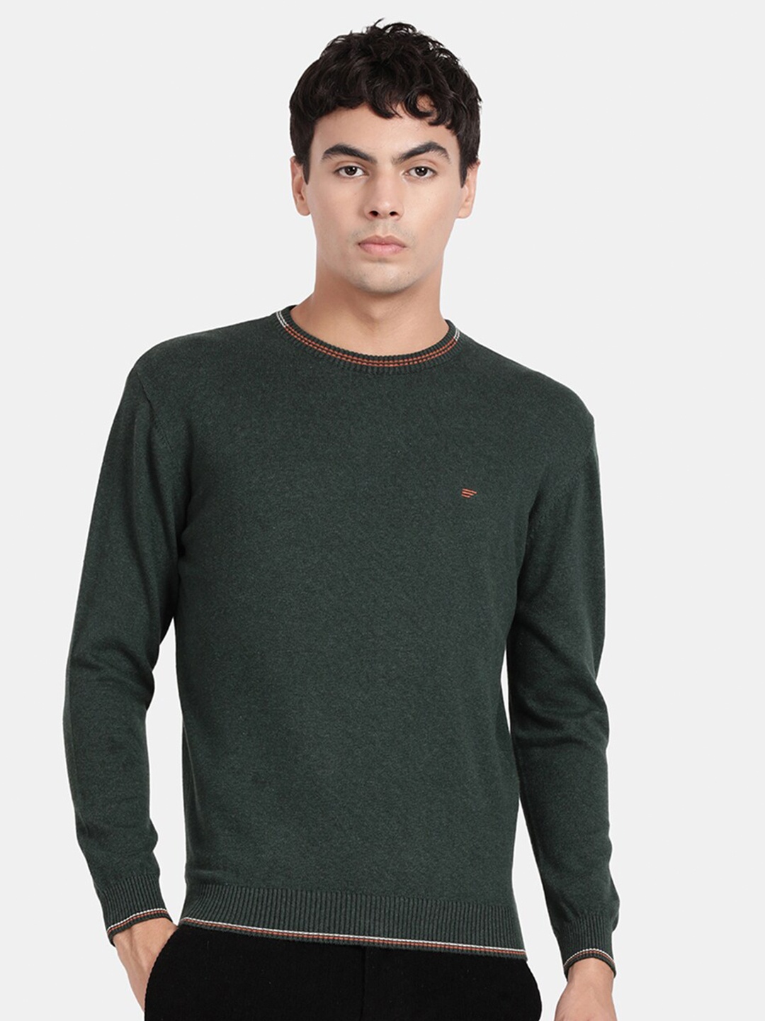 

t-base Round Neck Pullover Cotton Sweatshirt, Green
