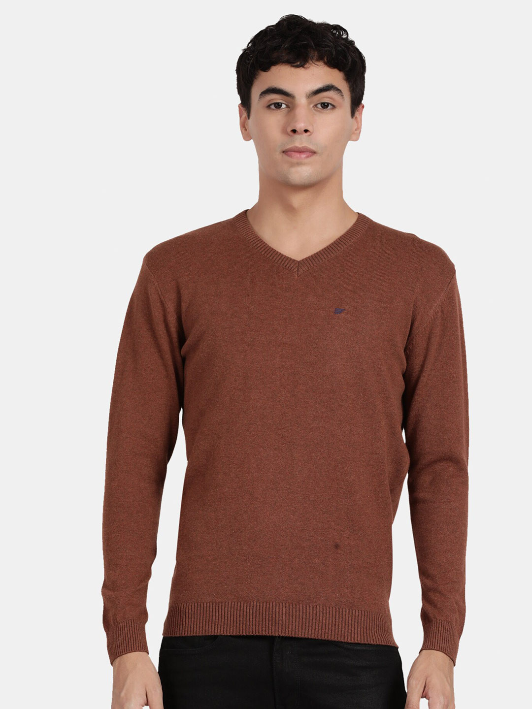 

t-base V-Neck Cotton Pullover Sweater, Rust