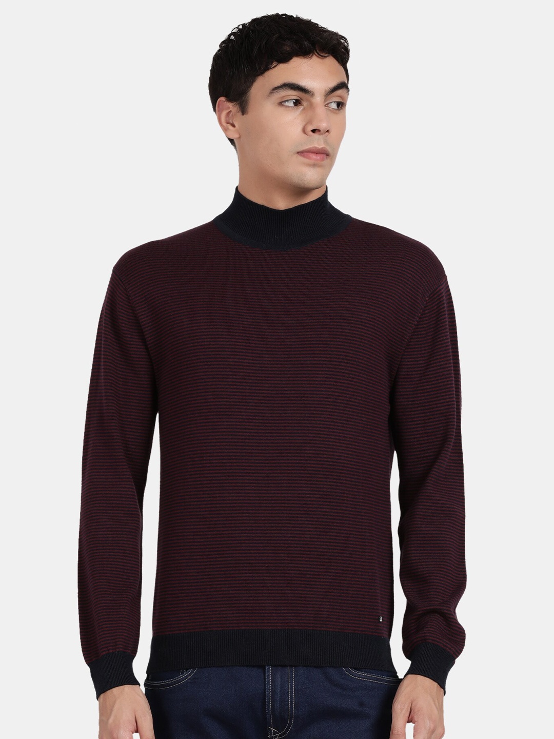 

t-base Striped Turtle Neck Ribbed Cotton Pullover, Maroon