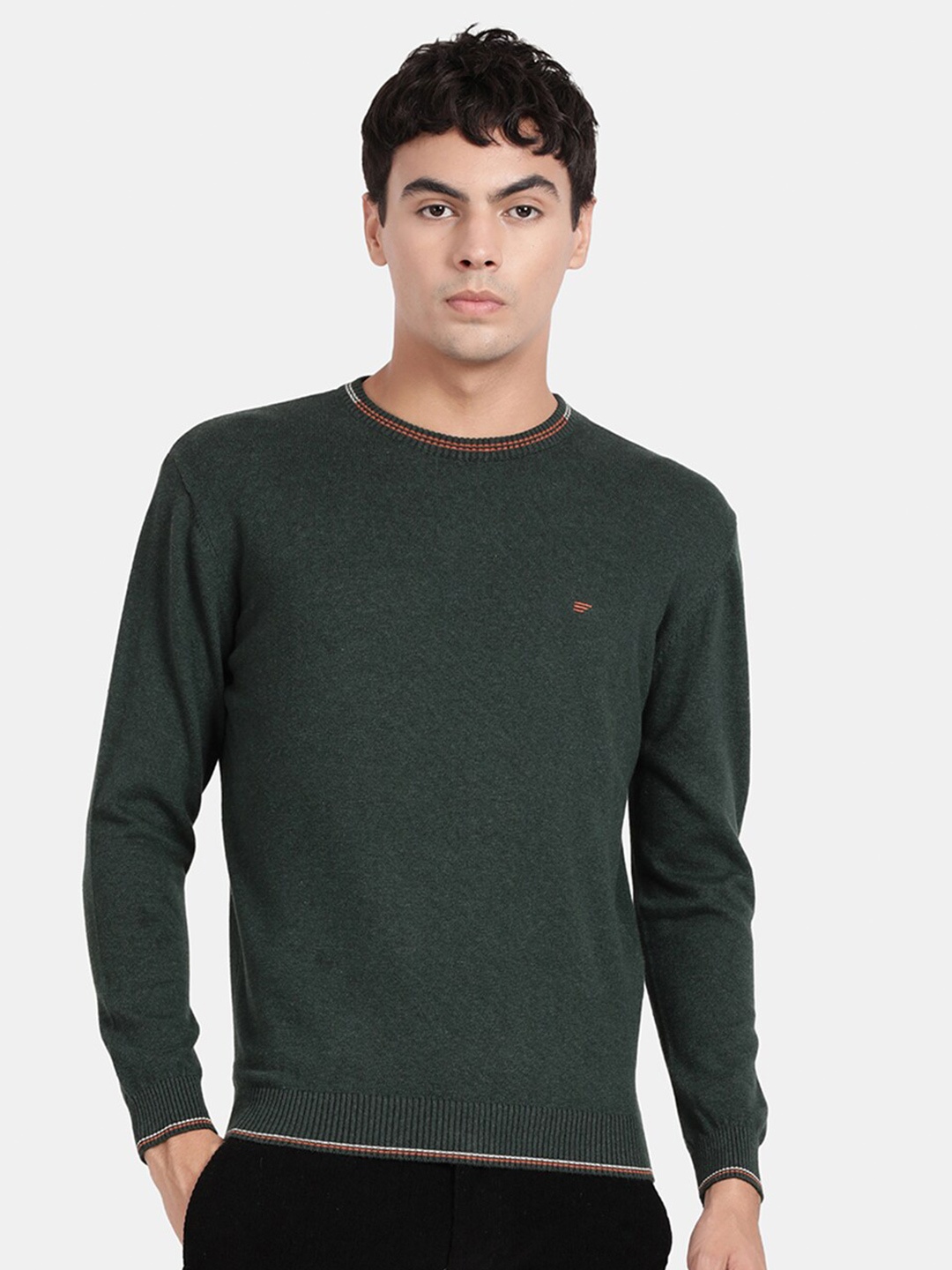 

t-base Round Neck Cotton Pullover Sweater, Green