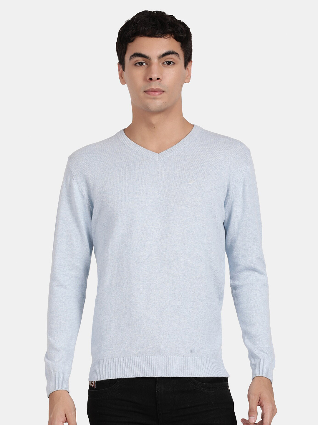 

t-base V-Neck Cotton Pullover Sweater, Blue
