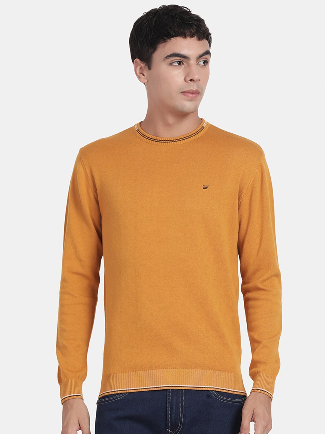 

t-base Round Neck Cotton Pullover Sweater, Yellow