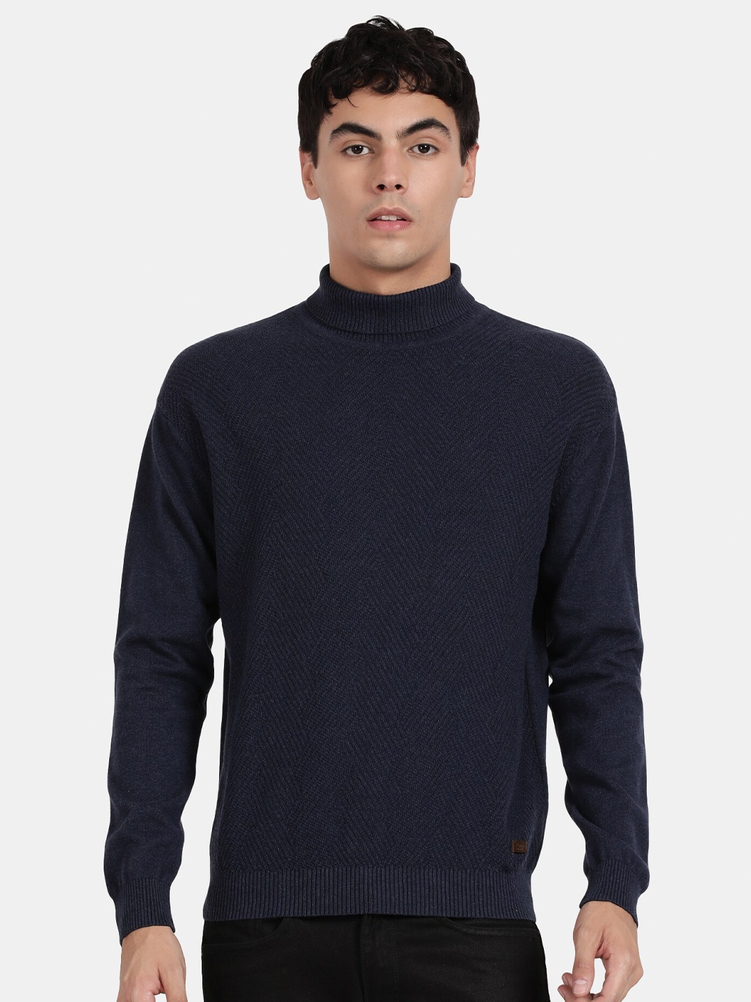 

t-base Self Design Turtle Neck Ribbed Cotton Pullover, Blue