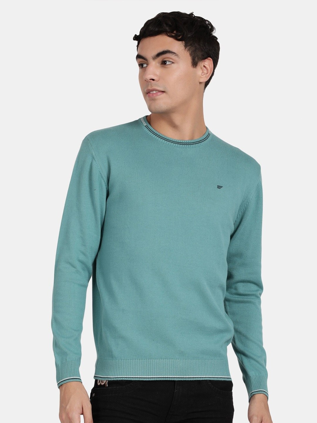 

t-base Cotton Pullover Sweater, Green