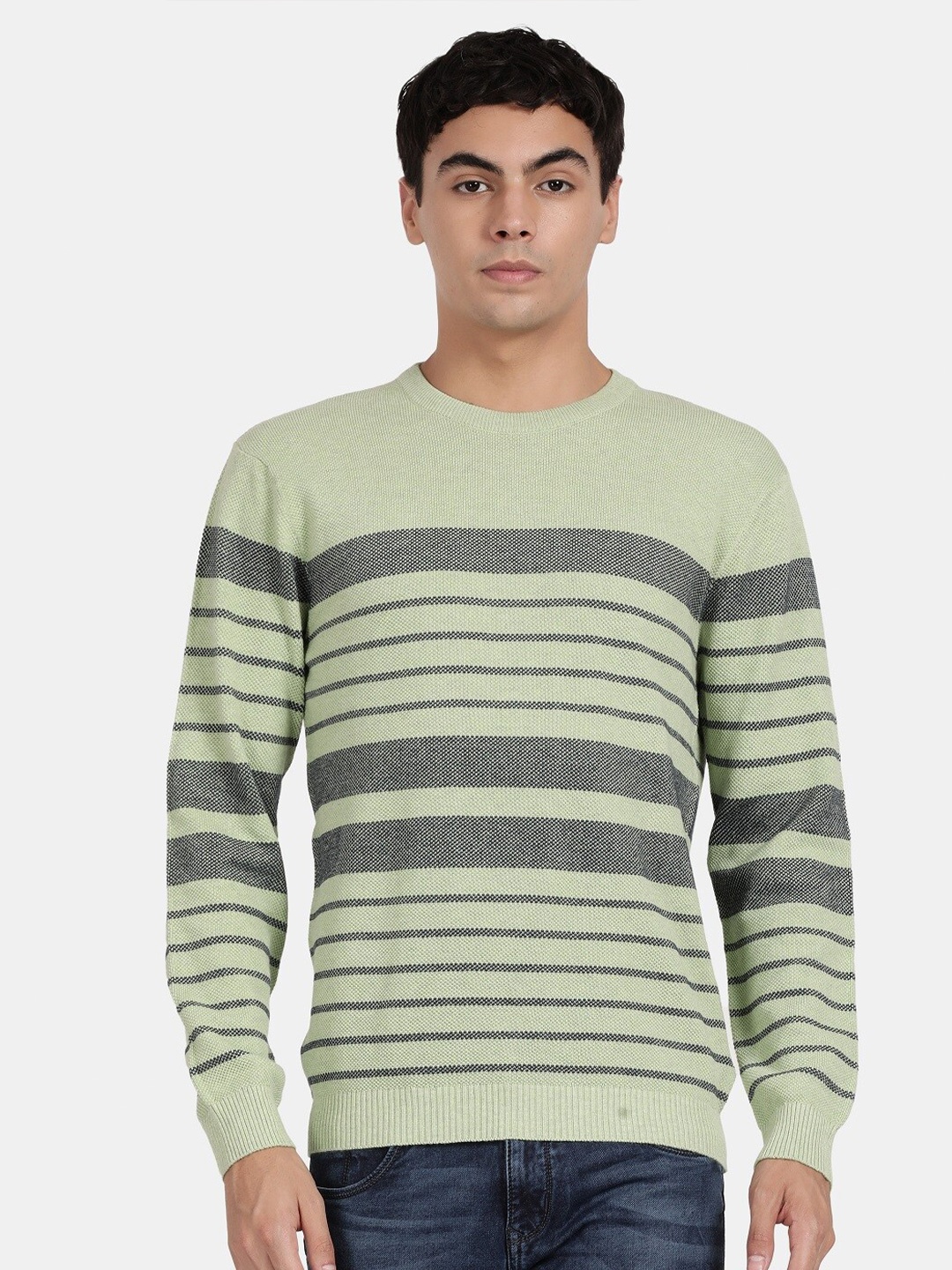 

t-base Striped Round Neck Cotton Pullover Sweater, Green