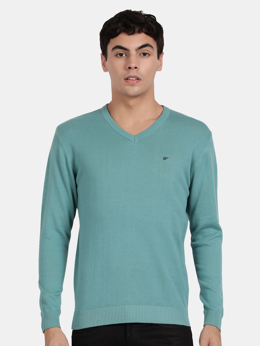

t-base V-Neck Cotton Pullover, Green