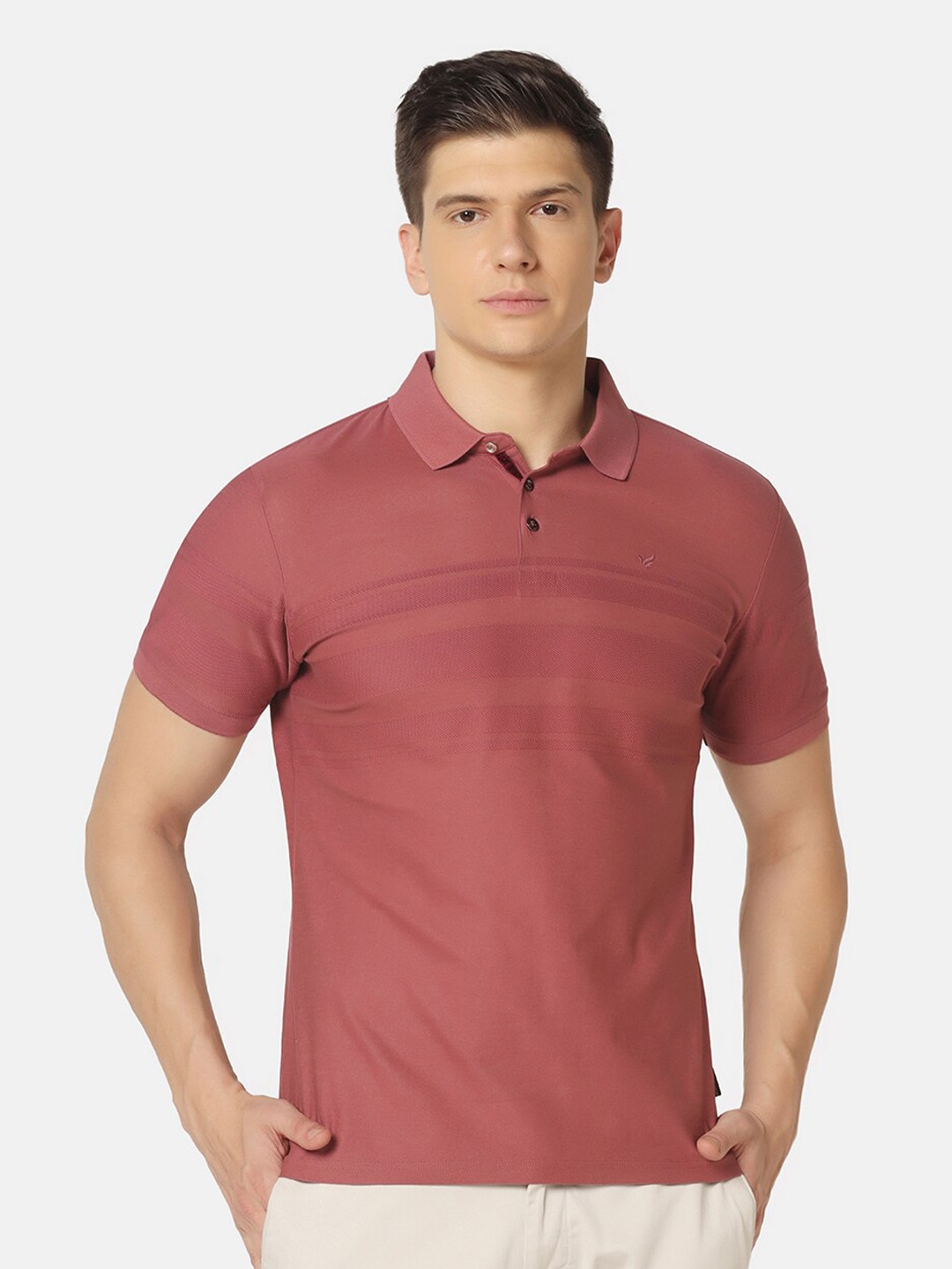 

Blackberrys Polo Collar Slim Fit Pure Cotton T-shirt, Pink