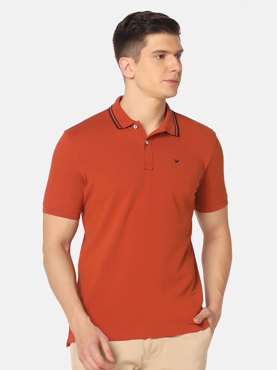 

Blackberrys Polo Collar Slim Fit T-shirt, Rust